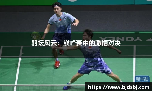 羽坛风云：巅峰赛中的激情对决